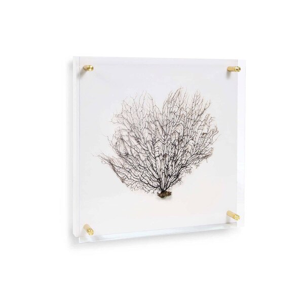Sea Fan Wall Art on Acrylic Small - Live from Detroit™